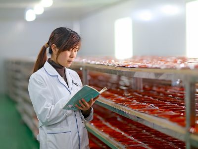 专业重庆火锅底料制作团队